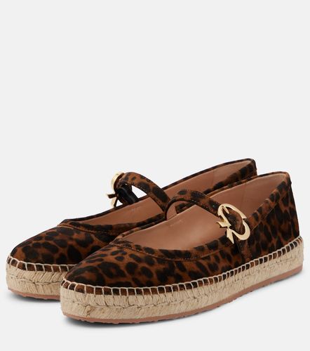 Elda leopard-print suede espadrilles - Gianvito Rossi - Modalova