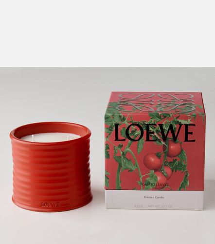 Duftkerze Tomato Leaves Medium - Loewe Home Scents - Modalova