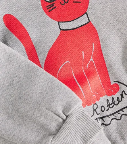 Sudadera de jersey de algodón estampada - Mini Rodini - Modalova