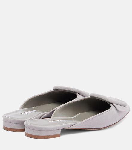 Manolo Blahnik Maysale suede mules - Manolo Blahnik - Modalova