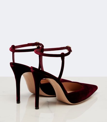 Gianvito Rossi Pumps in velluto - Gianvito Rossi - Modalova