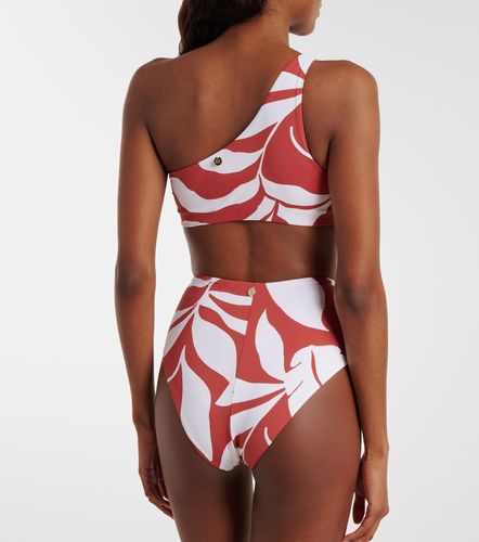 Argenta printed one-shoulder bikini top - Max Mara - Modalova
