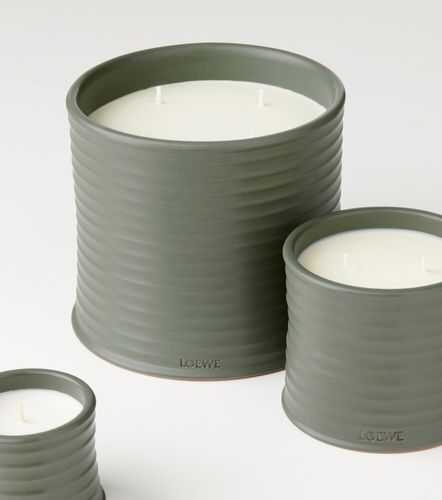 Vela Marihuana grande - Loewe Home Scents - Modalova
