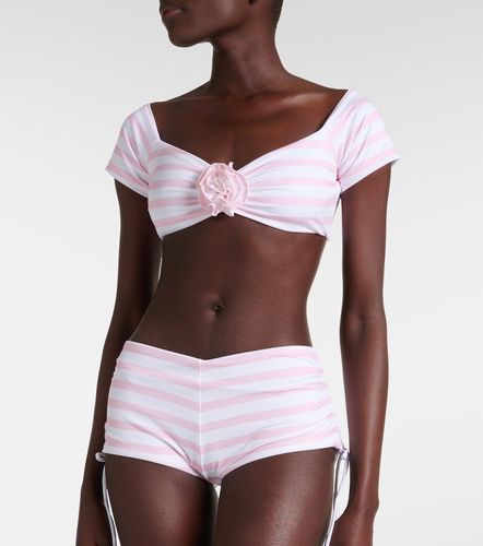 Bananhot Crop top Stefani a rayas - Bananhot - Modalova