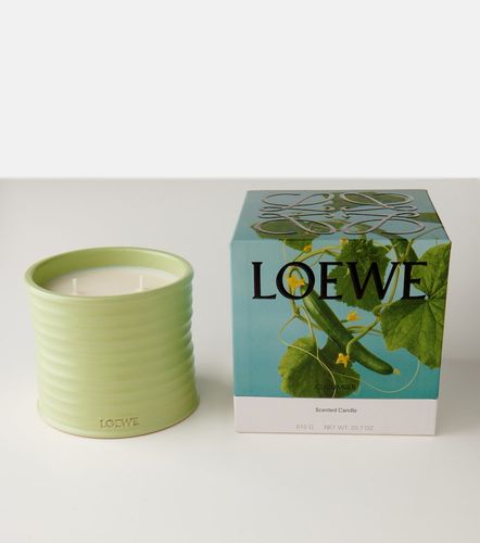 Duftkerze Cucumber Medium - Loewe Home Scents - Modalova