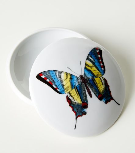 Aufbewahrungsdose Farfalle - Fornasetti - Modalova