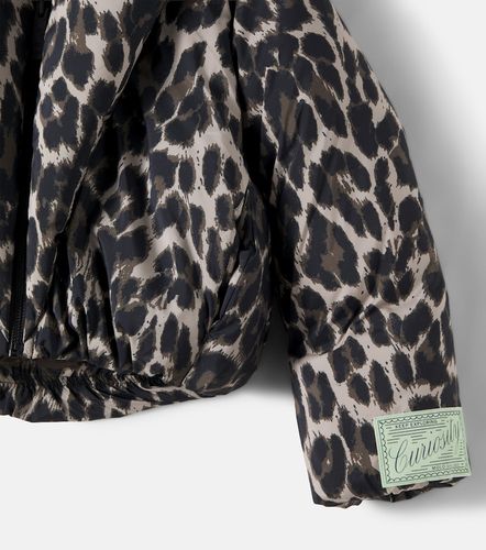 Chaqueta acolchada Heylee estampada - Molo - Modalova