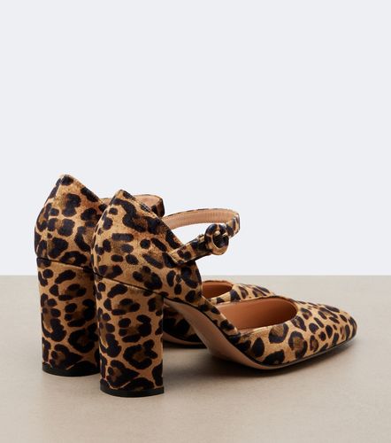 Gianvito Rossi Pumps aus Samt - Gianvito Rossi - Modalova