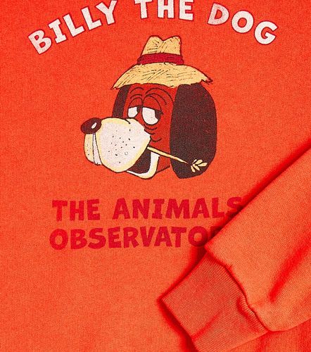 Sudadera Bear de jersey de algodón - The Animals Observatory - Modalova