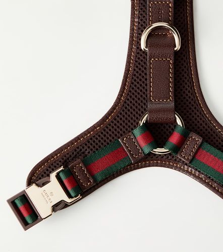 Gucci S/M GG canvas dog harness - Gucci - Modalova
