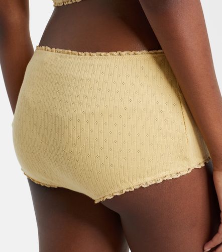 Shorts de pointelle de algodón - Miu Miu - Modalova