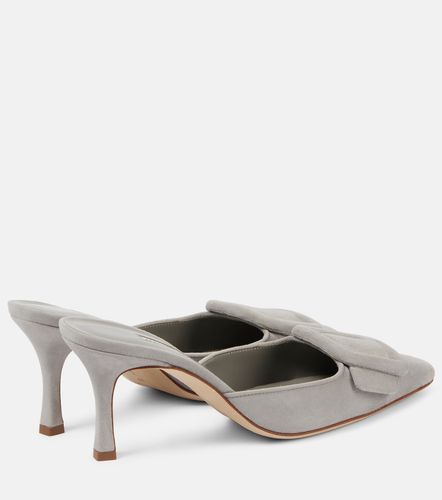 Mules Maysale 70 in suede - Manolo Blahnik - Modalova