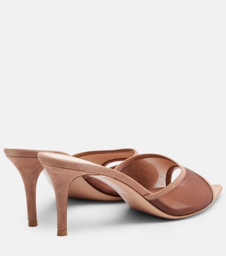 Dorotea suede-trimmed mesh mules - Gianvito Rossi - Modalova