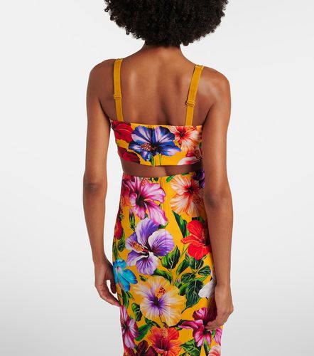 Floral silk-blend crop top - Dolce&Gabbana - Modalova