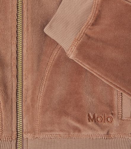 Sudadera de jersey en mezcla de algodón - Molo - Modalova