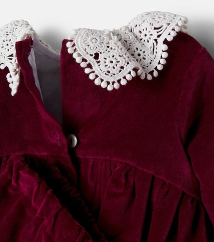 Bebé - Set de vestido y braga Antonella de terciopelo - La Coqueta - Modalova