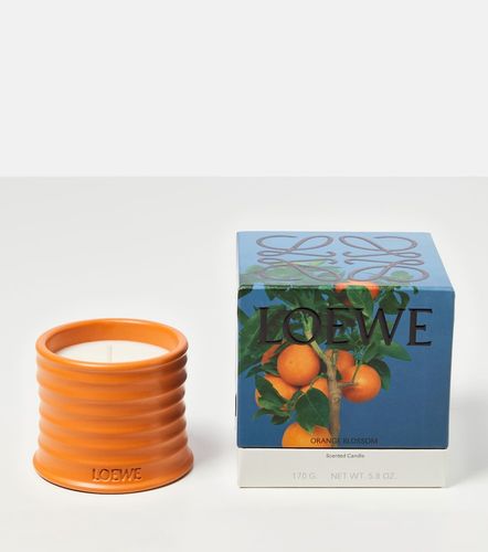 Duftkerze Blossom Small - Loewe Home Scents - Modalova