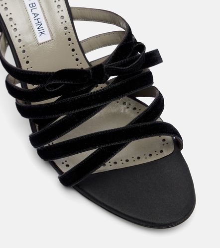 Clementel 70 velvet mules - Manolo Blahnik - Modalova