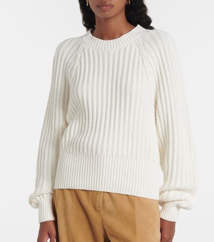 Jersey Moltrasio de algodón - Loro Piana - Modalova