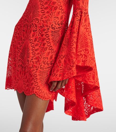 Copricostume Kara in pizzo - Alexandra Miro - Modalova