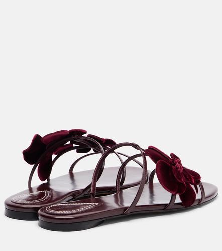 Sandalen Orchid aus Leder - Zimmermann - Modalova