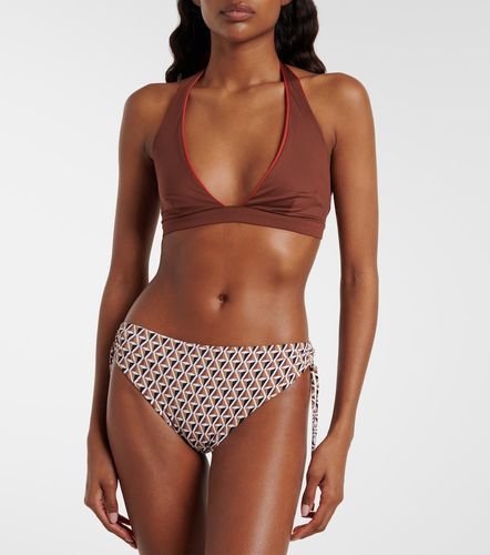 Slip bikini Sibilla con stampa - Max Mara - Modalova