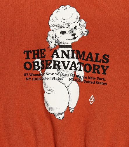 Sudadera Big Bear de algodón estampada - The Animals Observatory - Modalova