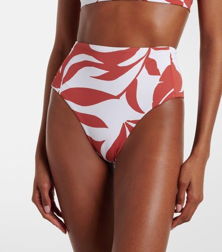 Stilla printed bikini bottoms - Max Mara - Modalova