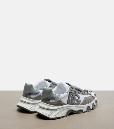 DG Country Road suede-trimmed sneakers - Dolce&Gabbana - Modalova