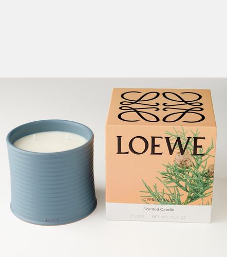 Candela profumata Cypress Balls grande - Loewe Home Scents - Modalova