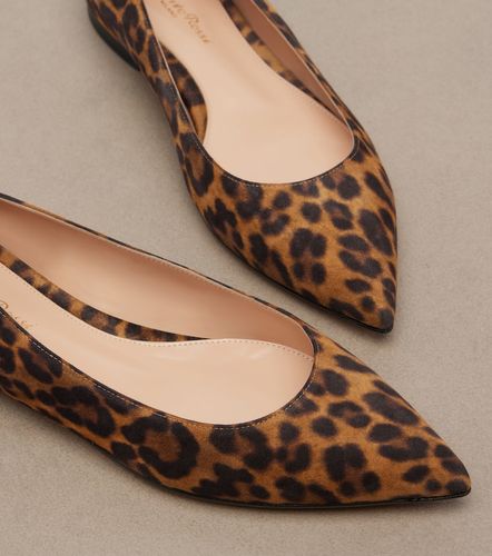 Bailarinas Gianvito estampadas - Gianvito Rossi - Modalova