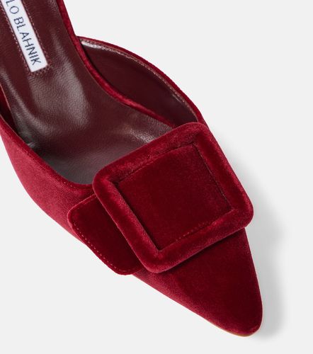 Mules Maysale 50 de terciopelo - Manolo Blahnik - Modalova