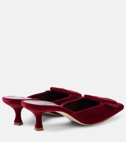 Mules Maysale 50 aus Samt - Manolo Blahnik - Modalova