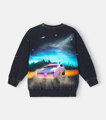 Sudadera Mattis de jersey de algodón - Molo - Modalova