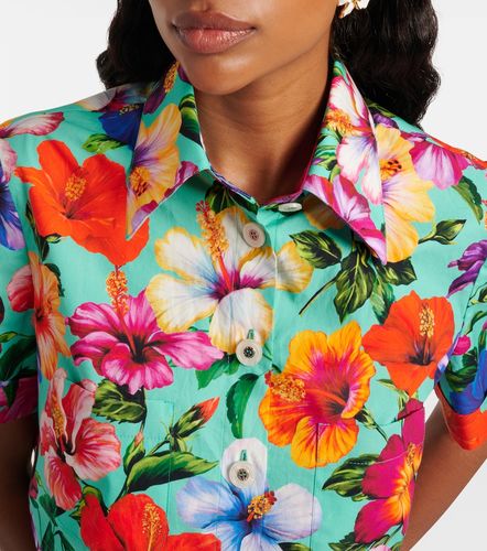 Camisa cropped de algodón estampada - Dolce&Gabbana - Modalova
