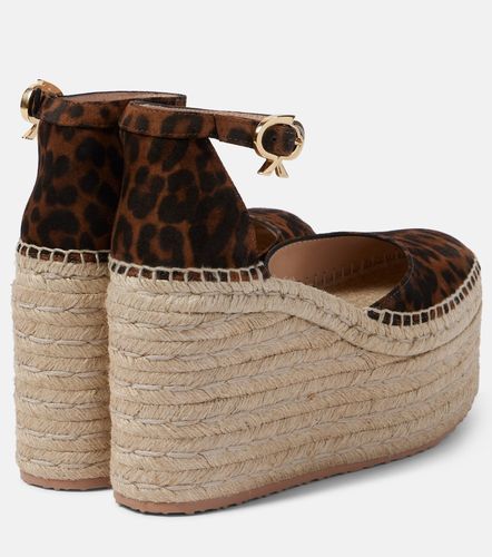Espadrillas in suede con stampa e zeppa - Gianvito Rossi - Modalova