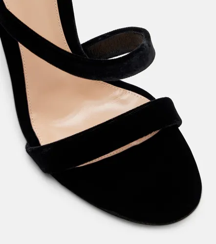 Opera 105 velvet sandals - Gianvito Rossi - Modalova