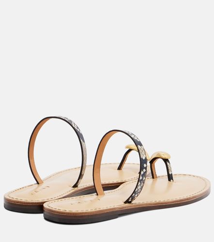 Kibera snake-effect leather sandals - Amanu - Modalova