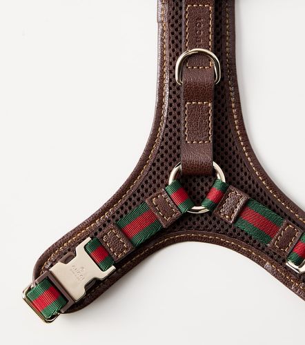 Arnés para perro XS de lona con piel, GG y Web - Gucci - Modalova