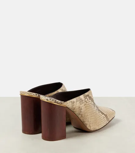 Ambre snake-effect leather mules - Chloe - Modalova