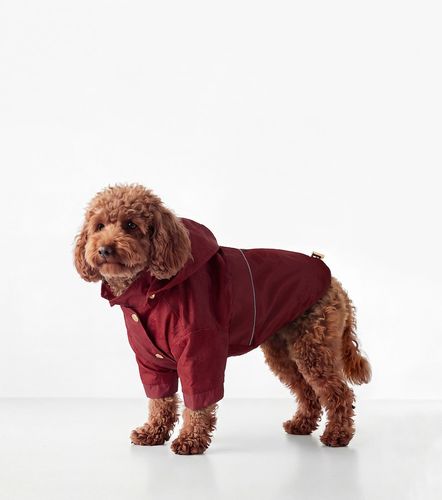Gucci Abrigo para mascotas con GG - Gucci - Modalova