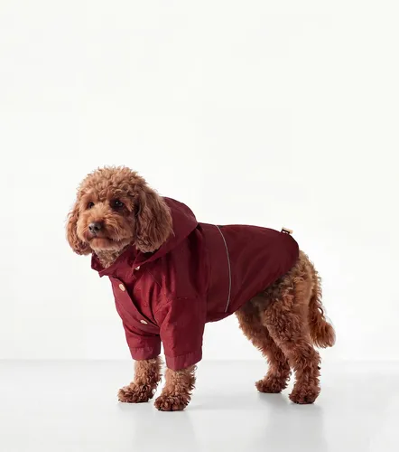 Gucci GG pet rain coat - Gucci - Modalova