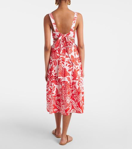 Midikleid Coco aus Baumwolle - Poupette St Barth - Modalova