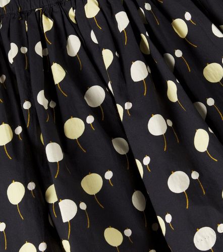 Falda Suzon de algodón estampada - Bonpoint - Modalova