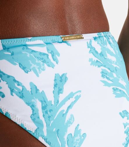 Giulia printed bikini bottoms - Alexandra Miro - Modalova