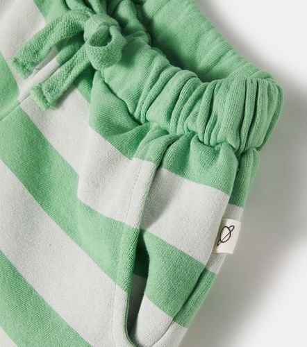 Shorts Orion de algodón a rayas - Cozmo - Modalova