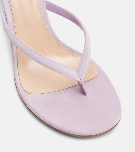 Calypso suede thong sandals - Gianvito Rossi - Modalova