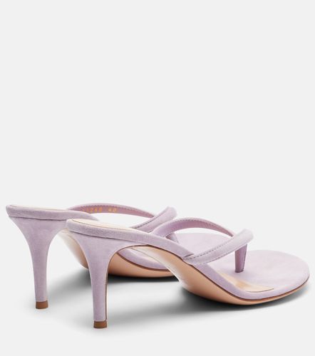 Calypso suede thong sandals - Gianvito Rossi - Modalova