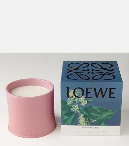 Duftkerze Ivy Large - Loewe Home Scents - Modalova