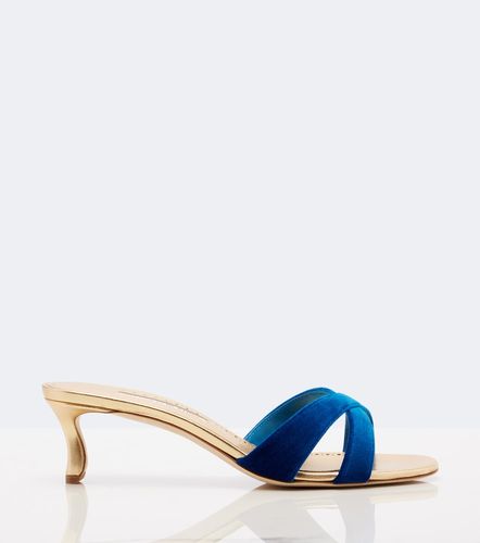 Callydramu velvet mules - Manolo Blahnik - Modalova